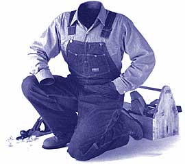Dickies Bib Overalls