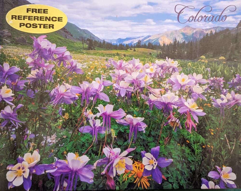 Rocky Mountain Jigsaw Puzzles