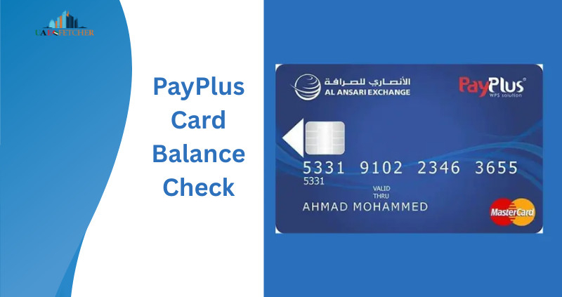 PayPlus card balance check