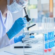Assay Testing Services