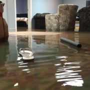 carpet flood Winnipeg