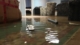 carpet flood Winnipeg