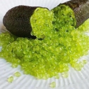 Desert Lime