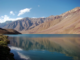 Spiti Valley snow leopard tours