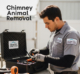 Chimney Animal Removal