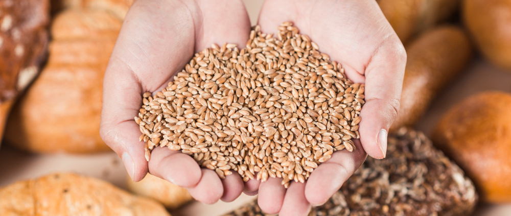 ​Wholesale Beer Bread Mix​
