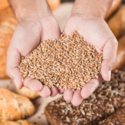 ​Wholesale Beer Bread Mix​