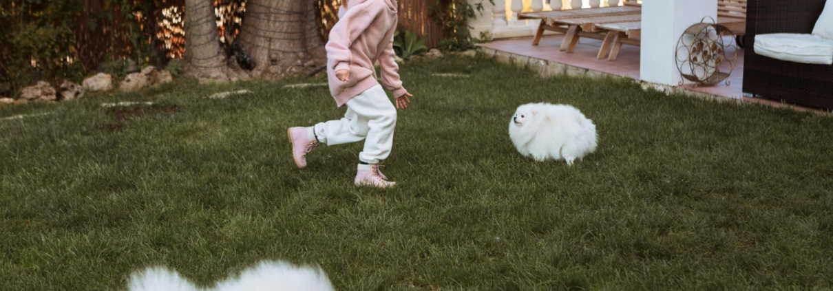 Creating Pet-Friendly Yards With Durable Synthetic Turf Surfaces