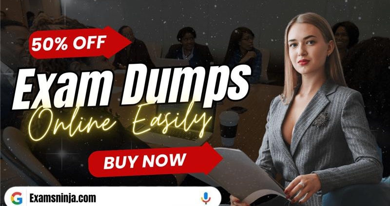 Professional-Data-Engineer Exam Dumps