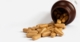 Supplement