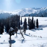 Packing guide for Kashmir