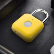 best fingerprint padlock