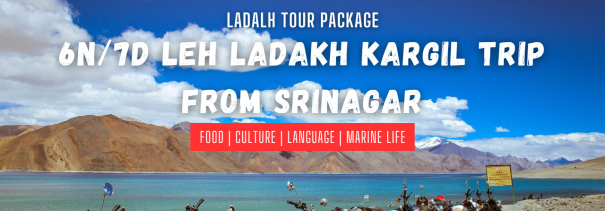 6N7D Leh Ladakh Kargil Trip from Srinagar