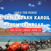 6N7D Leh Ladakh Kargil Trip from Srinagar