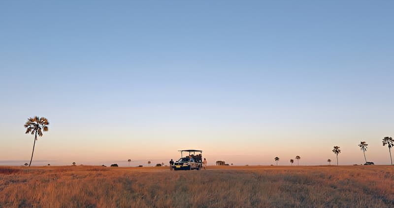 Wildlife Experiences in Botswana Safaris