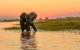 Safari Destinations in Botswana
