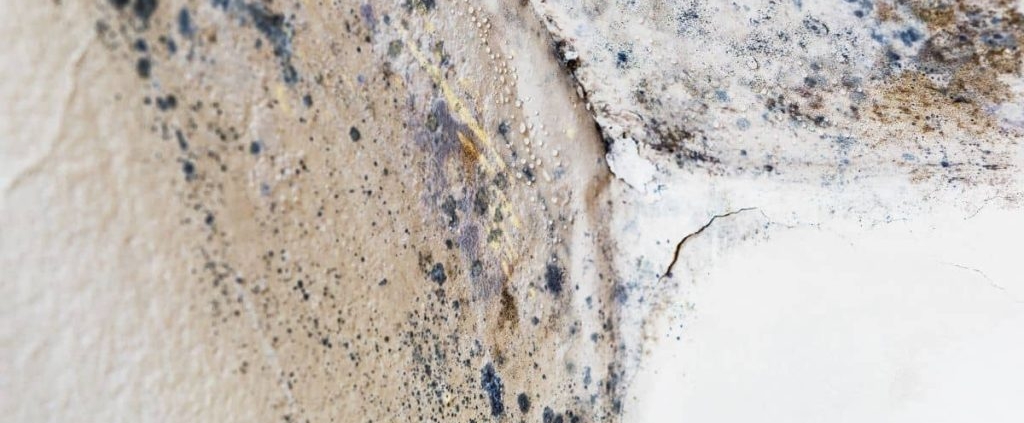 water restoration services in Jacksonville, FL