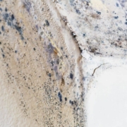 water restoration services in Jacksonville, FL