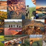 When to Visit Africa