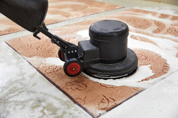 Area Rug Cleaning Denver