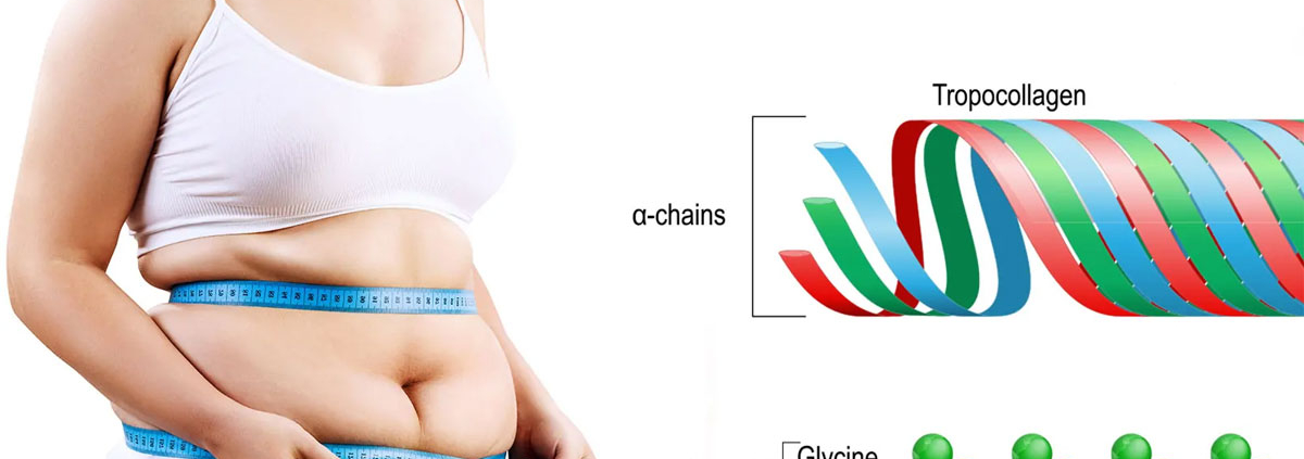 Can collagen peptides weight gain