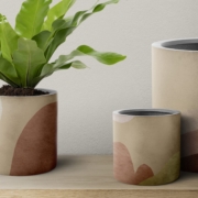 Discover everything you need to know about buying wholesale plant pots. Learn how to choose quality ceramic pots, where to buy them online, and tips for finding the best wholesalers.