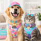 Premium Dog & Cat Products Online in USA | FurCrave
