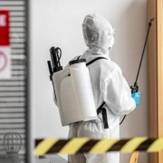 Reliable Pest Control Services in Ayrshire
