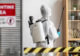 Reliable Pest Control Services in Ayrshire