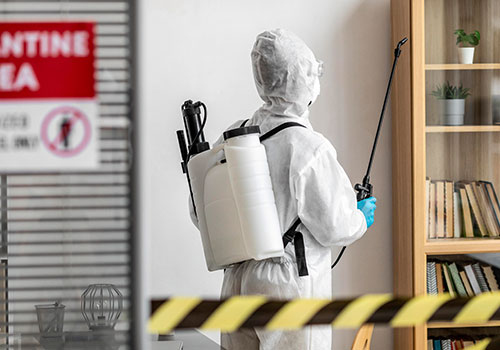 Homes vs Business Pest Control in Ayrshire
