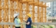 Construction Companies
