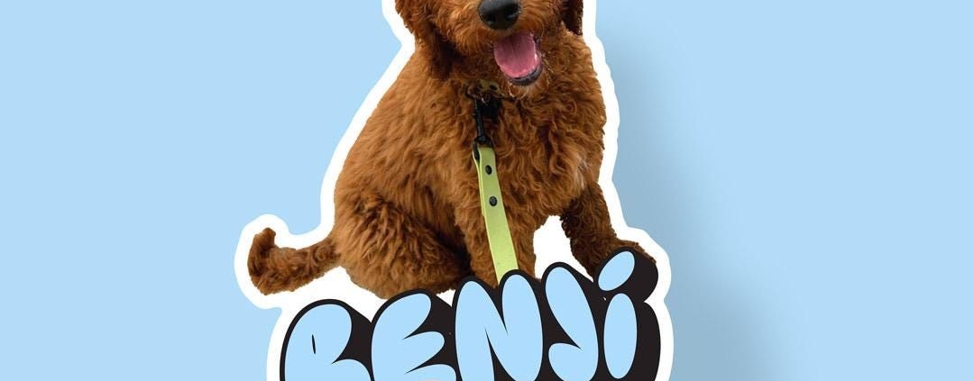 Custom pet stickers with logo
