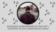 youtube to mp3 converter - onlymp3 & ytmp3