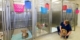 Dog Boarding Kennels
