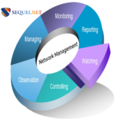 Network Management Service