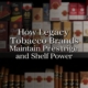 How legacy tobacoo brands maintain prestrige and shelf power