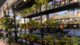 GRand_Opening-7100