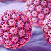HPV Cause Infertility