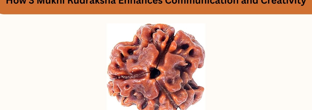 How 3 Mukhi Rudraksha Enhances Communication and Creativity