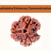How 3 Mukhi Rudraksha Enhances Communication and Creativity