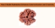 How 3 Mukhi Rudraksha Enhances Communication and Creativity