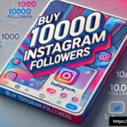 Best Places to Buy Instagram Followers