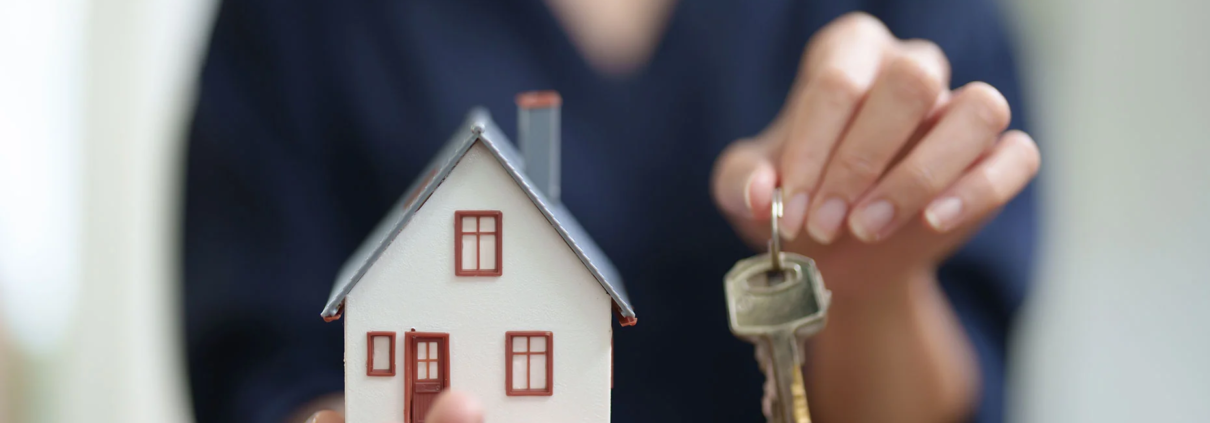Immobilienoptimierung