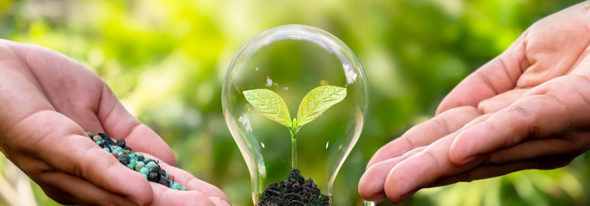 India Fertilizers Market