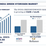 India Green Hydrogen Market