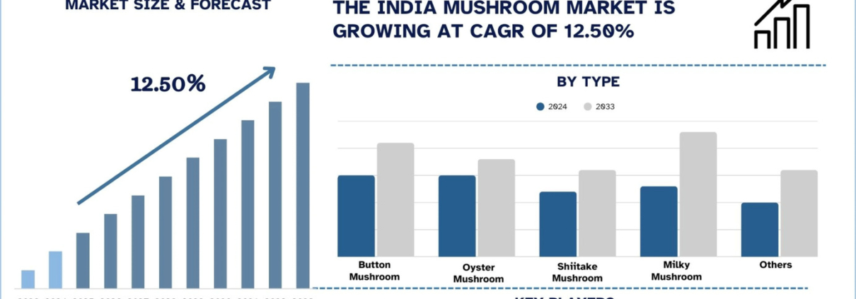 India Mushroom Market