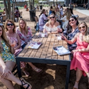 Johnson City Wineries Tour