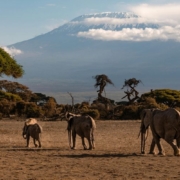Tourist Destinations in Kenya