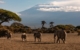 Tourist Destinations in Kenya