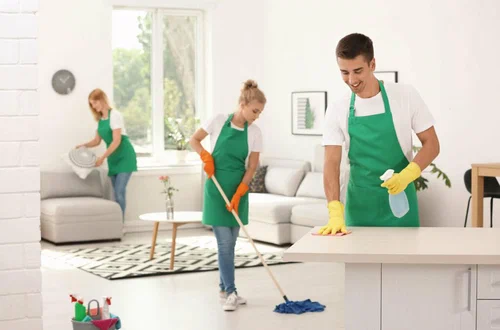 Residential Cleaning Palm Beach Fl